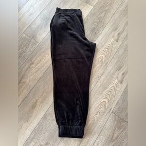 NWOT Express velour joggers. Size women’s Large